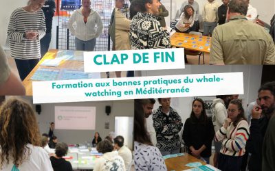 Formation 2024 aux bonnes pratiques du whale-watching