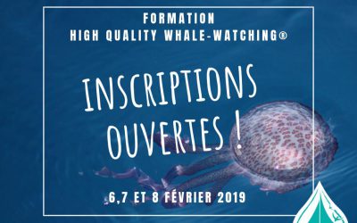 Session de formation High Quality Whale-Watching® 2019