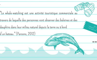 La minute HQWW® : Qu’est-ce que le whale-watching ?