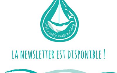 Newsletter N°7