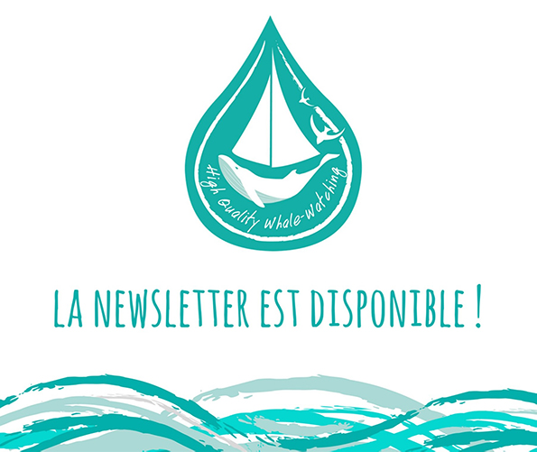 Newsletter N°7