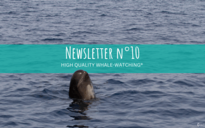 Newsletter N°10